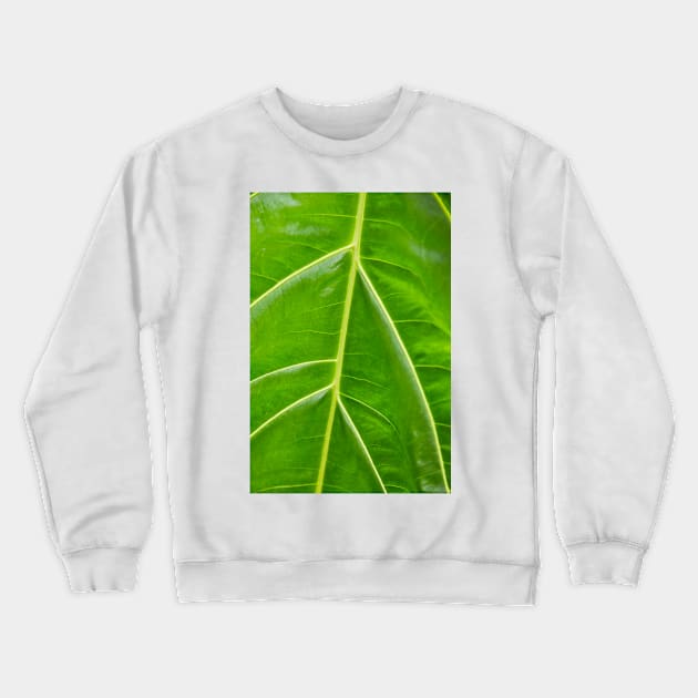 Tributaries Crewneck Sweatshirt by thadz